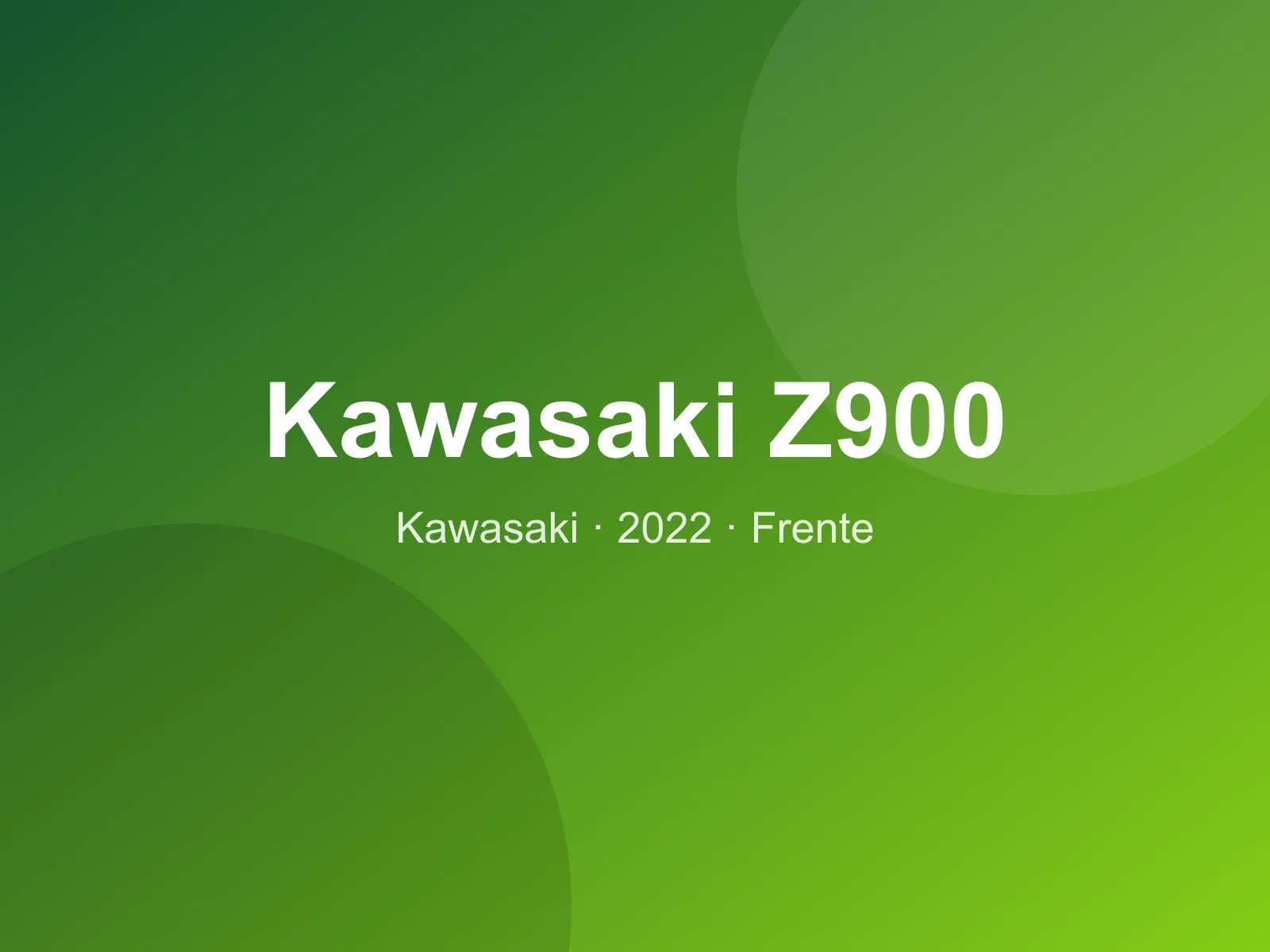 Kawasaki Z900 2022